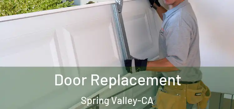  Door Replacement Spring Valley-CA