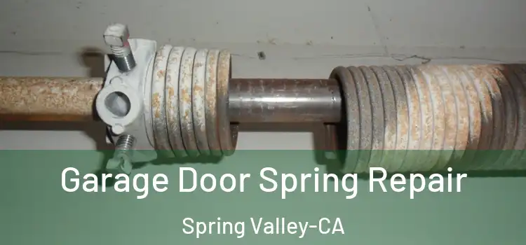 Garage Door Spring Repair Spring Valley-CA
